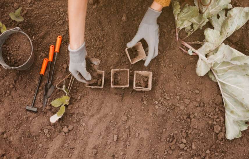 What Is Included in a Geotechnical Report Price?