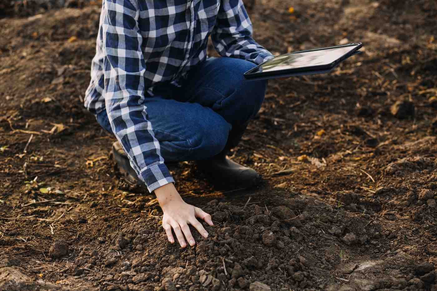 Does Property Size Increase the Testing Cost?